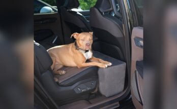 Back Seat Extender For Dogs