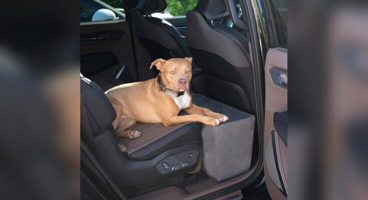 Back Seat Extender For Dogs