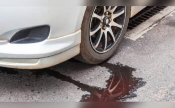 Car Leaking Oil Causes And Fixing Way