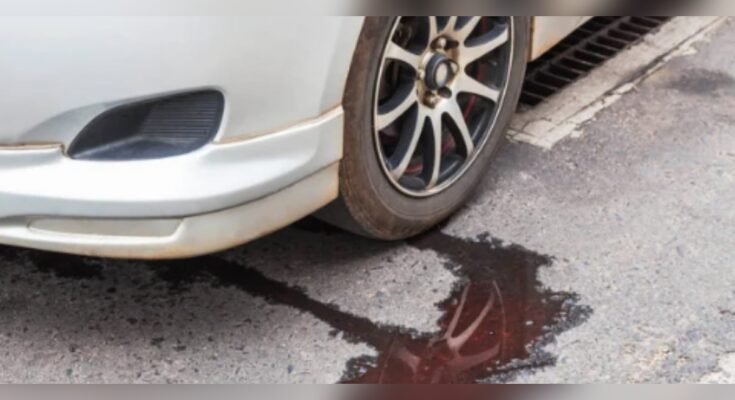 Car Leaking Oil Causes And Fixing Way