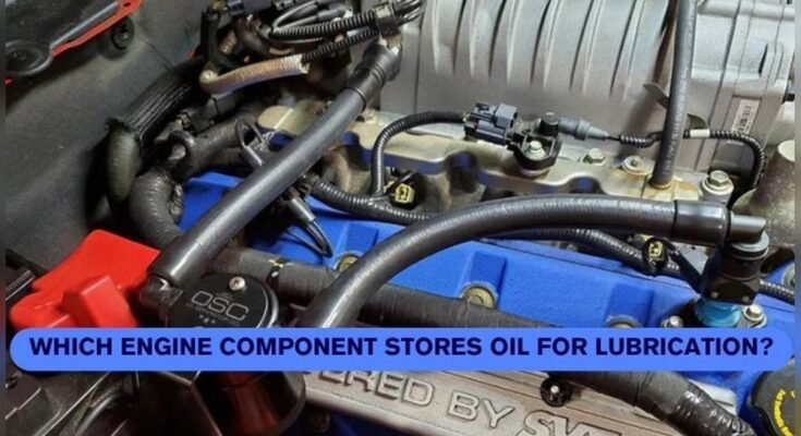 Engine Component Stores Oil For Lubrication