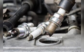Importance Of Using Right Oil For Spark Plugs