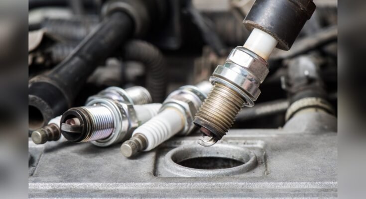 Importance Of Using Right Oil For Spark Plugs