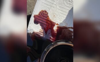 Why Engine Oil Looks Red