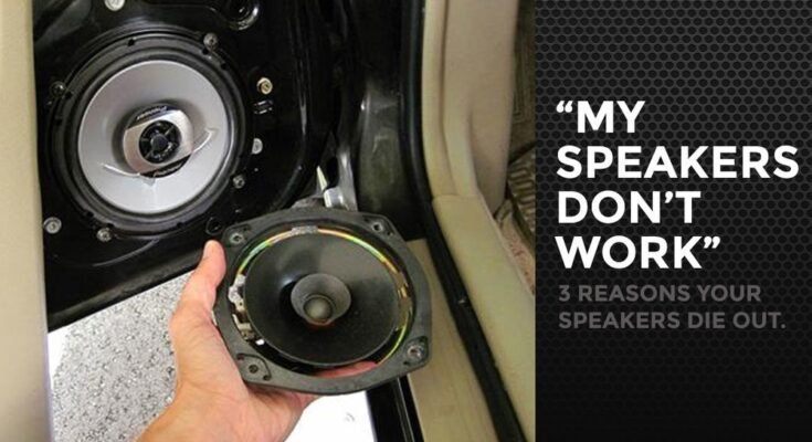 Why is Subwoofer Not Working With Car Stereo
