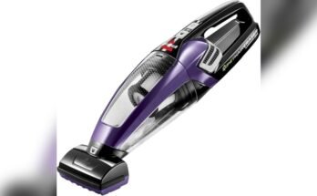 Best Car Vacuum for Pet Hair