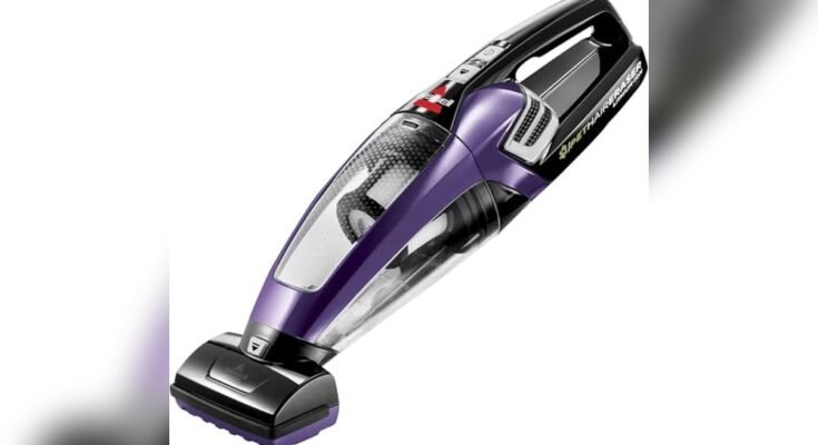 Best Car Vacuum for Pet Hair