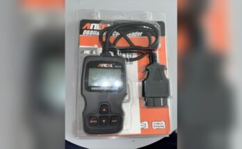 Can the Ancel Ad310 Replace a Professional Diagnostic Tool?