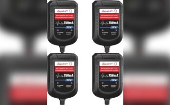 Do Car Battery Chargers Work on All Battery Types?