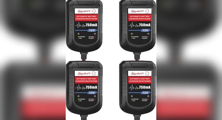Do Car Battery Chargers Work on All Battery Types?