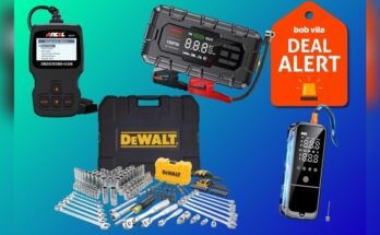 Does the Ancel Ad310 Save Money on Mechanic Visits?