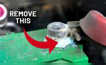 How Do You Clean Car Battery Terminals?
