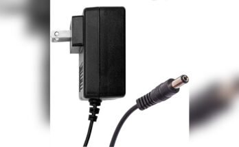 What Size Charger is Best for a 12V Car Battery?