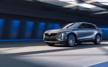 What Are The Pros And Cons Of Owning A Tesla Model Y