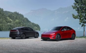 Why Is The Tesla Model Y Popular