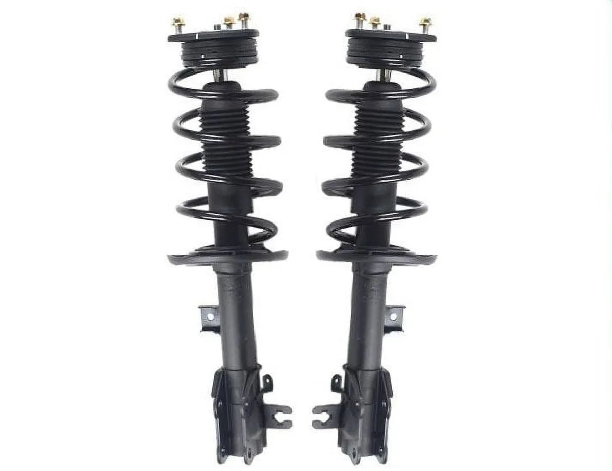 strut assembly