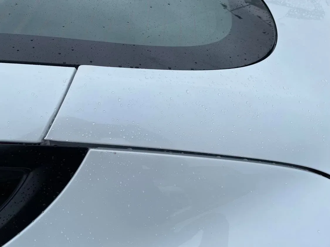Tesla Model 3 window problem
