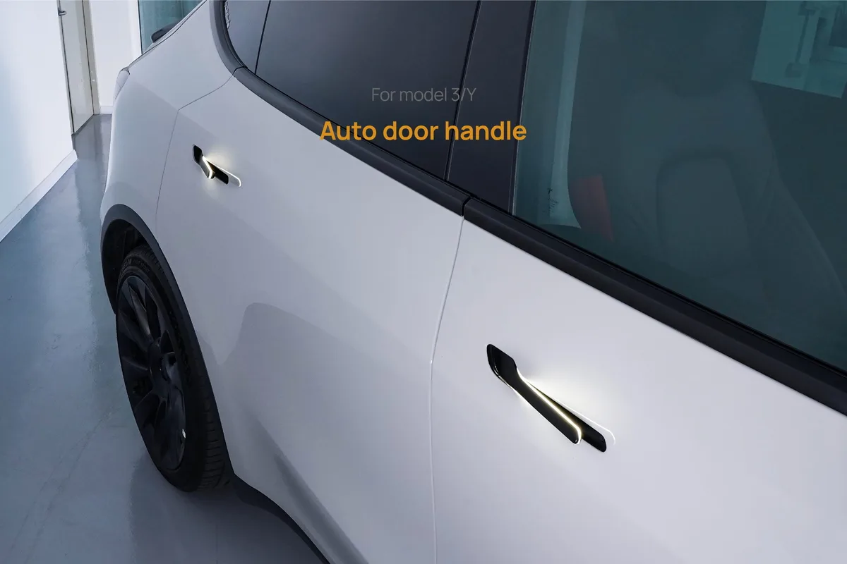 Tesla Model Y door handle problem